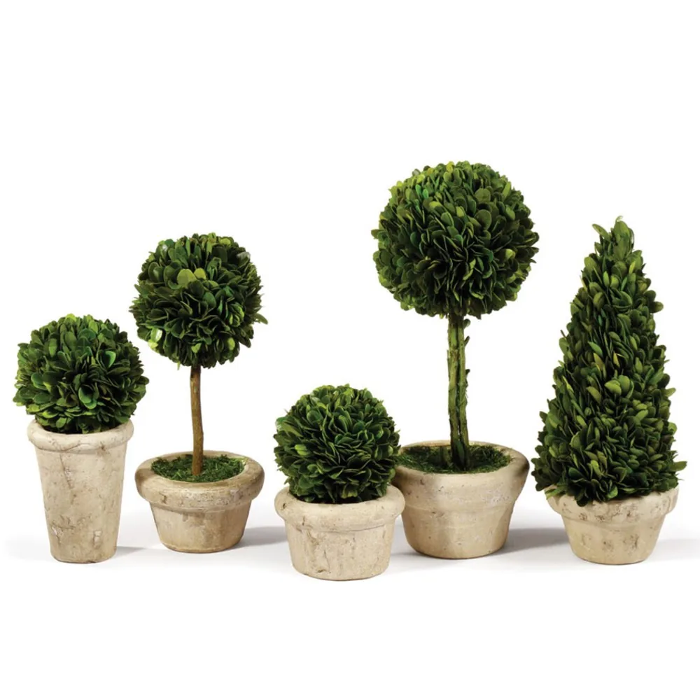 Marin French Country Green Boxwood Potted Topiaries - Set of 5